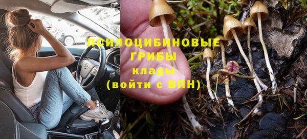 молекула духа Кукмор