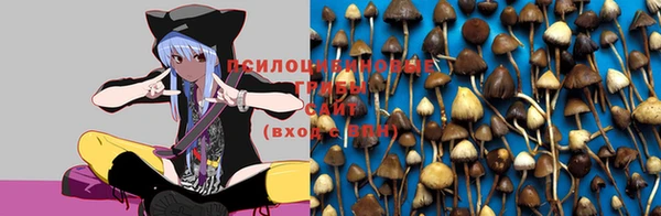 спайс Куйбышев
