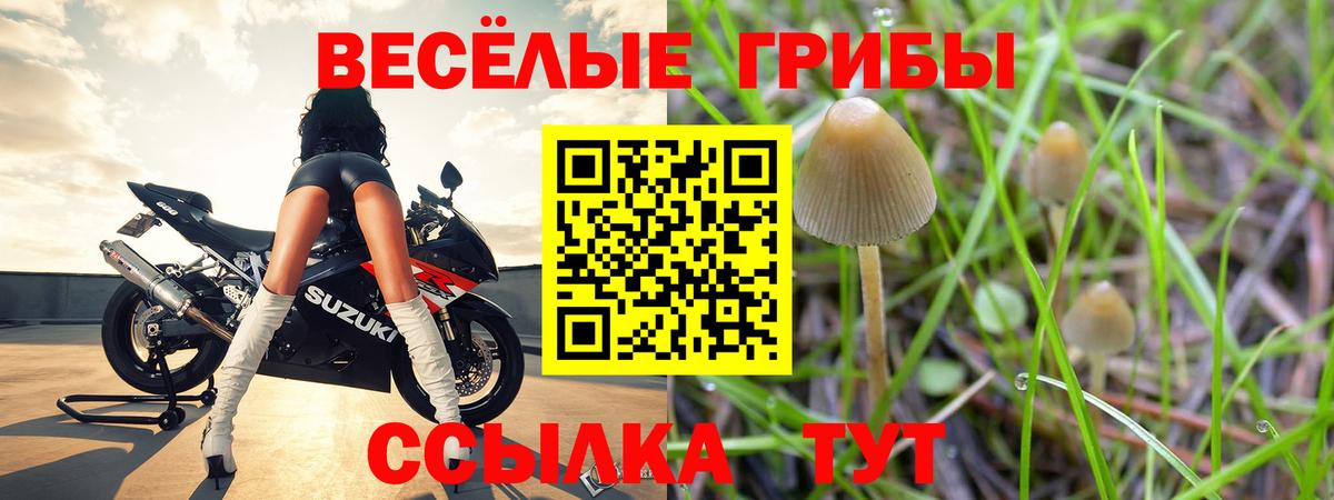 Псилоцибиновые грибы MAGIC MUSHROOMS  Вход с VPN  Псилоцибиновые грибы прущие грибы  Нягань 